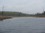 IMG 4586